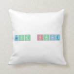Ceva Swine  Pillows