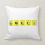 Hornets  Pillows