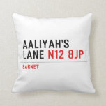 Aaliyah's  Lane  Pillows