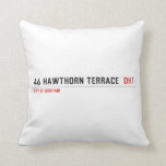 46 Hawthorn Terrace   Pillows