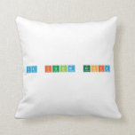 Va Iubim Profa   Pillows