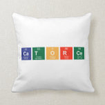 Catorce  Pillows