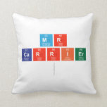 Mr
 Carrier
   Pillows