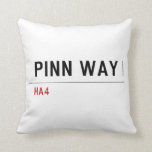 Pinn Way  Pillows