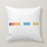 kiss my ass  Pillows