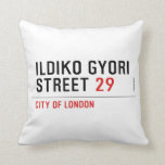 Ildiko Gyori Street  Pillows