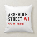 Arsehole Street  Pillows