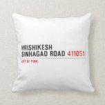 HrishiKesh Sinhagad Road  Pillows