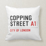 Copping Street  Pillows