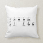 stewards
 of grace  Pillows