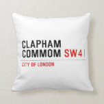 Clapham Commom  Pillows