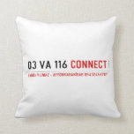 03 VA 116  Pillows