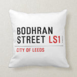 Bodhran Street  Pillows