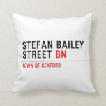 Stefan Bailey Street  Pillows