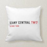 SEANY CENTRAL  Pillows