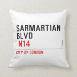 sarmartian blvd   Pillows