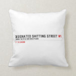 Designated Shitting Street  Pillows
