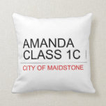AMANDA class 1C  Pillows