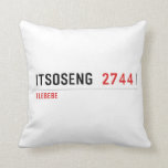 Itsoseng  Pillows