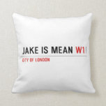 Jake is mean  Pillows