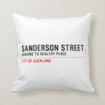 SANDERSON STREET  Pillows