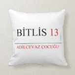 BİTLİS  Pillows