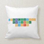 Congratulations
 Graduating
 Seniors  Pillows
