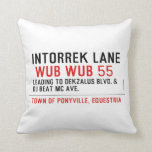 Intorrek Lane   Pillows