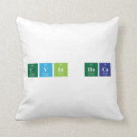 Evin hoca   Pillows