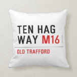 Ten HAG way  Pillows