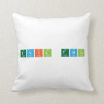 Evil Twin  Pillows