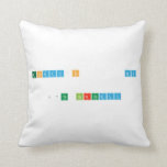 TODAY'S      MY   17th BIRTHDAY  Pillows
