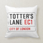 totter's  lane  Pillows