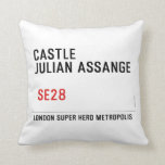 CASTLE  JULIAN ASSANGE    Pillows