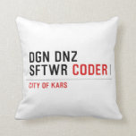 DGN DNZ SFTWR  Pillows
