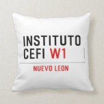 Instituto CEFI  Pillows