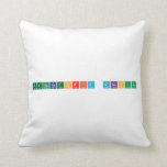 Preparatoria Anahuac  Pillows