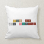 ITS MY 17th BIRTHDAY  Pillows