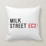 MILK  STREET  Pillows