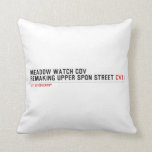 MEADOW WATCH COV remaking Upper Spon Street  Pillows