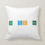 am vs pm  Pillows