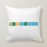 Bienvenidos  Pillows