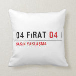 04 fırat  Pillows