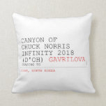Canyon of chuck norris INFinity 2018 (D'oh)  Pillows