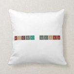 Monsieur Laghdir  Pillows