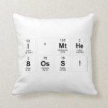 I'mthe
 boss!  Pillows