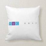 Feliz 2017  Pillows