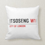 Itsoseng  Pillows