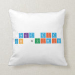 Feliz dia 
 do Quimico  Pillows