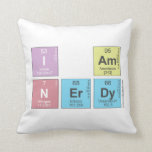 I AM
 N|erdy  Pillows